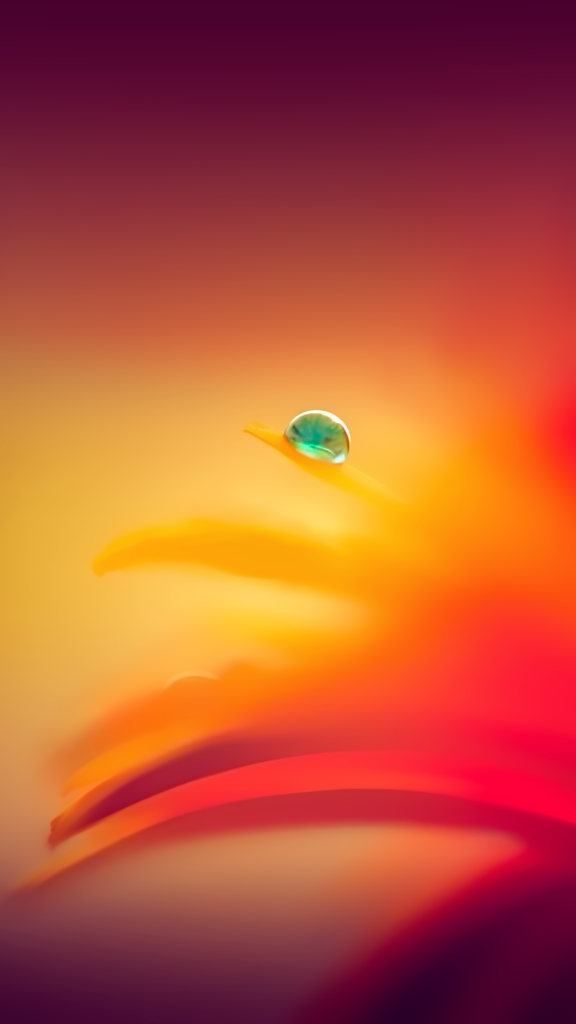 @amir_khani-iPhone-Wallpaper-3