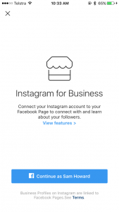 instabusiness3